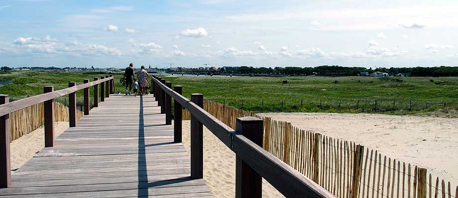 houten overgang duinen