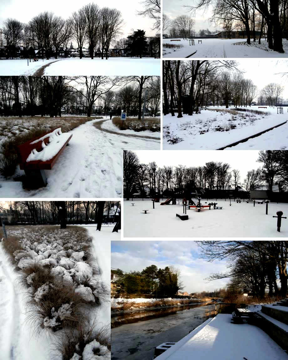 Januari 2013 sneeu