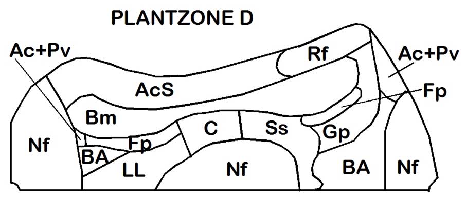 plantzone d